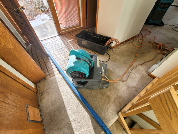 Best Residential water damage restoration  in Fairlawn, OH