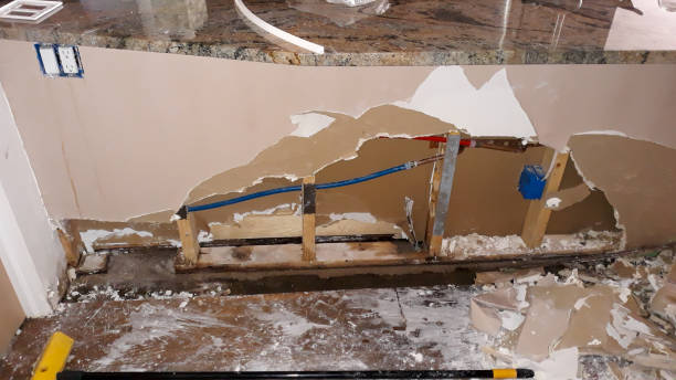 Best Carpet water damage restoration  in Fairlawn, OH