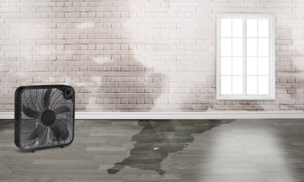 Best 24-hour water damage restoration  in Fairlawn, OH