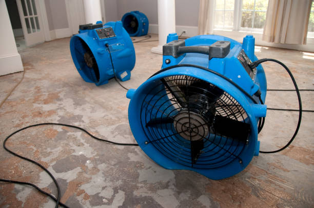 Best Local water damage restoration  in Fairlawn, OH